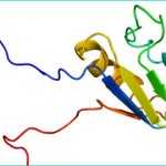 Nanbiosis Ibb news
