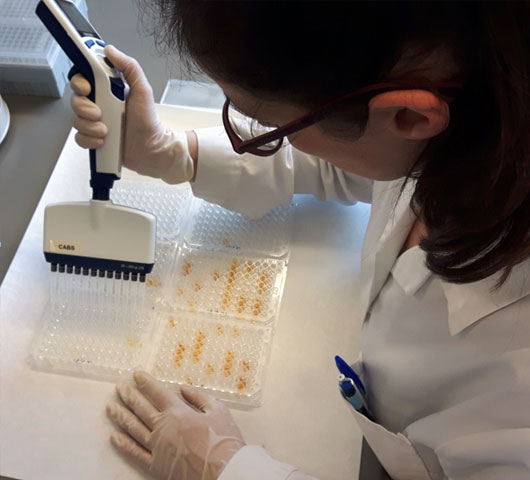 Compressed fluid-based technology platform for biomaterials processing