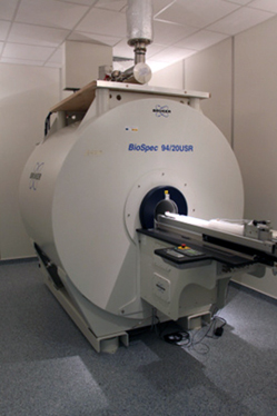U28-E01. Bruker BioSpec 9.4T animal MRI system