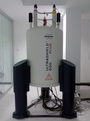 U28-E05. Bruker Avance 600 MHz NMR spectrometer + HR-MAS Probe