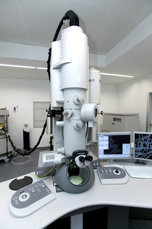 U28-E07. FEI Tecnai G2 20 TWIN Transmission Electron Microscope + Cryo-TEM