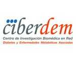 ciberdem