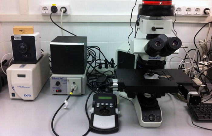 U12-E02. CytoViva Hyperspectral Imaging System (HSI)