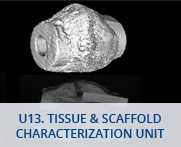 U13-Tissue & Scaffold Characterization Unit