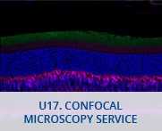 U17-Confocal Microscopy Service