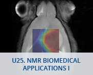 U25-NMR Biomedical Applications I