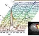 U25 RMN- Representative time-course 13C spectra of a GL261