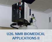 U26-NMR Biomedical Applications II