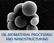 U6-Biomaterial Processing and Nanostructuring Unit