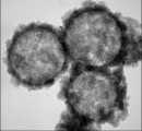 U9. Synthesis of Nanoparticles- hollow magnetic nanoparticles