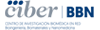 Ciber-bbn logo