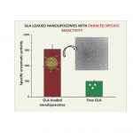 “a-Galactosidase A Loaded Nanoliposomes with Enhanced Enzymatic Activity and Intracellular Penetration”