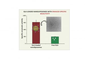 “a-Galactosidase A Loaded Nanoliposomes with Enhanced Enzymatic Activity and Intracellular Penetration”