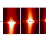 Nanotechnology bio applications in the clinical diagnosis II biosensor BiMW for the early diagnosis of bacterial infections in cirrhotic patients