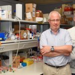 A new system to detect Cocaine at very low concentrations