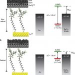 Nanbiosis-U6-Chemical control over the energy-level alignment in a two-terminal junction
