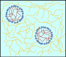 Water-in-water (W/W) emulsions