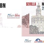 Conference_10th_CIBER-BBN_2016_Nanbiosis.