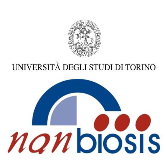 Nanbiosis - Forum and Partnering CIBER-BBN with l’Università degli Studi di Torino