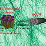 From Chromonic Self-Assembly to Hollow Carbon Nanofibers: Efficient Materials in Supercapacitor and Vapor-Sensing Applications