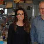Nanbiosis U26 - ribes y martinez-manez development of nanodevices to detect the presence of cocaine