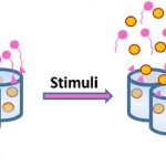 U 26 NANBIOSIS - New implants for the treatment of infections and bone tumours