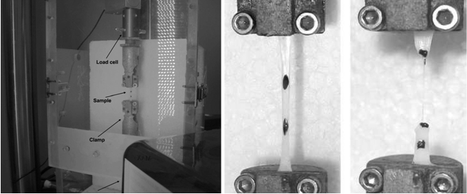 Mechanical Characterization of soft biological tissues - Nanbiosis