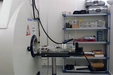 Biospec 7T scanner, in which MR proposed studies will be performed, with the mouse bed assembly