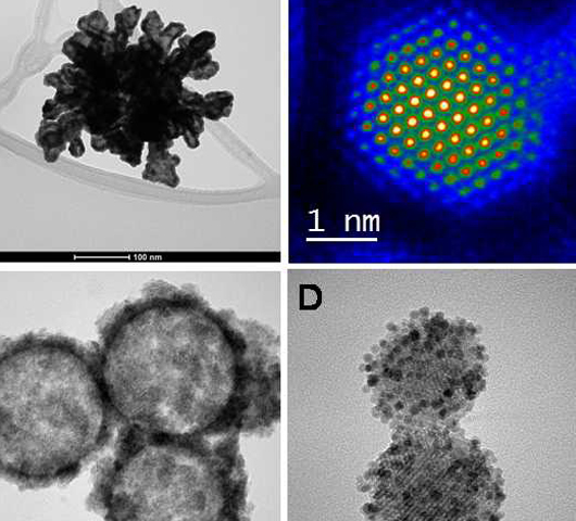 Compressed fluid-based technology platform for biomaterials processing