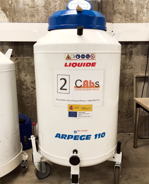 Liquid nitrogen tank