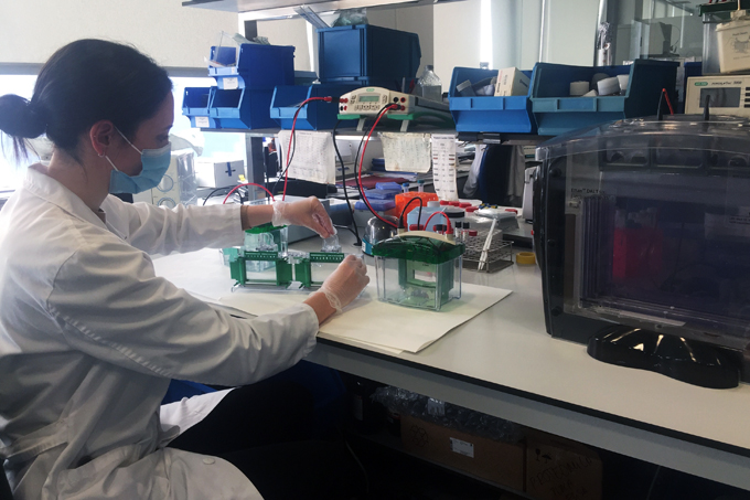 U30-S07 Protein separation by one- or two-dimensional gel electrophoresis