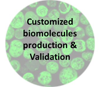 Customized Biomolecules