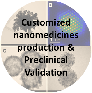Customized nanomedicines production & Preclinical Validation